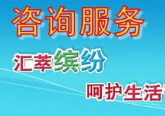 信息咨询服务 定义、流程与核心价值
